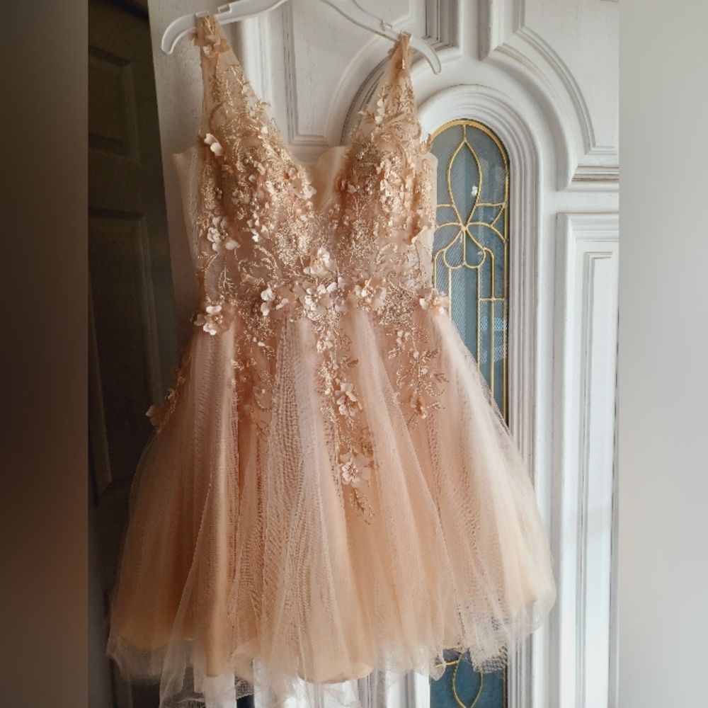 Elegant Floral Embellished Dress